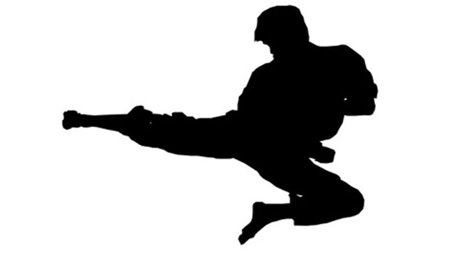 Zim So-kyokushin promote, honour members